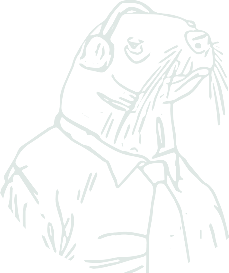 Mr. Sealz: a drawing of a seal in a collar and tie, looking up and away.